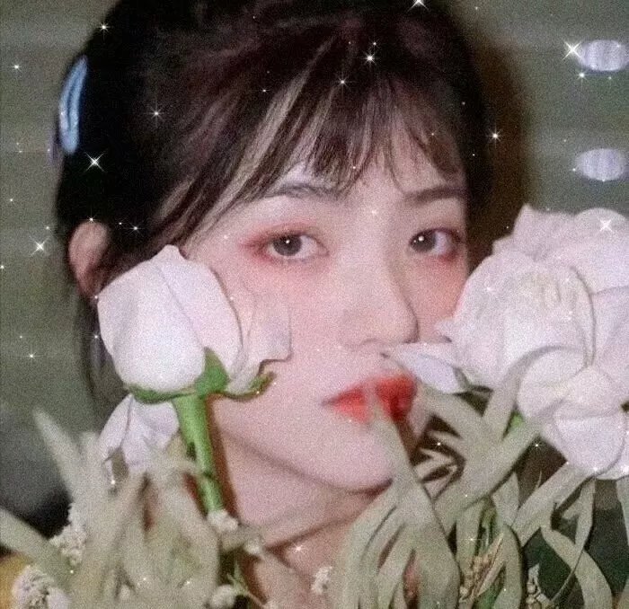 程序员那么可爱